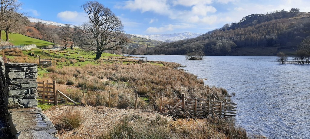 The part of the Coffin Trail path which goes by Windermere Lake, against the back-drop of snowy mountains.